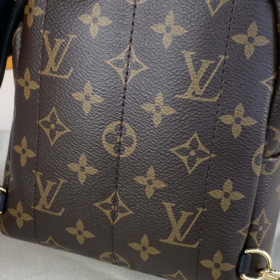 Louis Vuitton PALM SPRINGS PM Backpack Monogram M44871